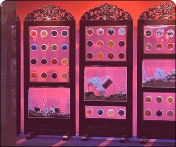 MICROARTMUNITY activity