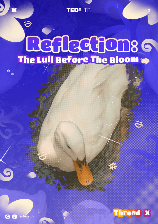 Reflection: The Lull Before The Bloom